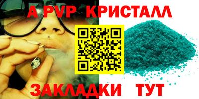 шишки Кингисепп