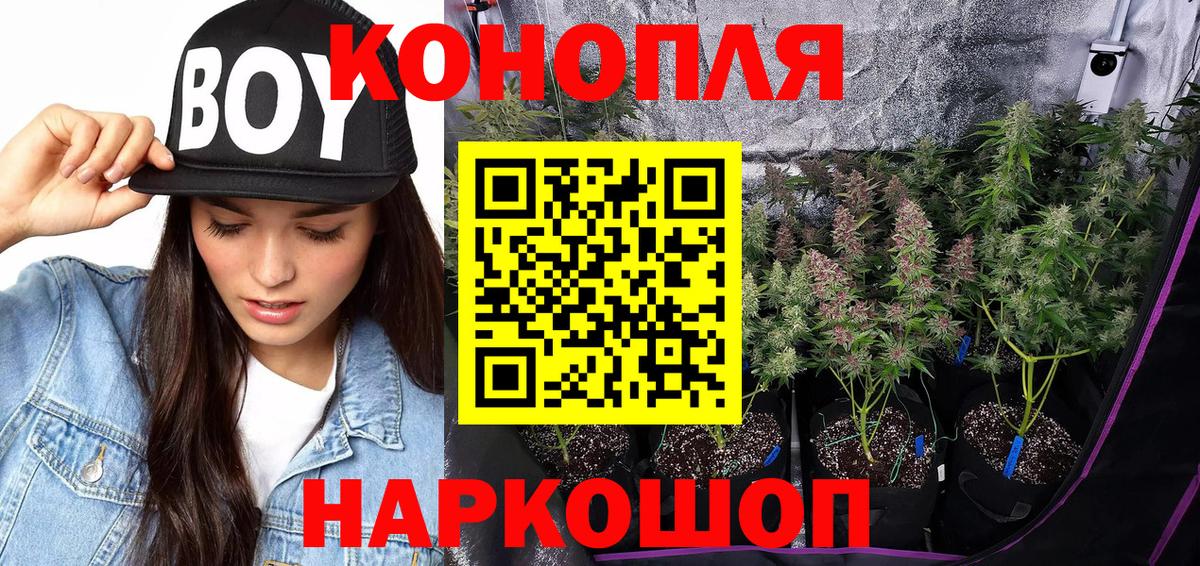 Бошки Шишки SATIVA & INDICA Ярославль